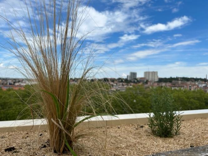 T2 Autre 49 m2 Toulouse Hyper centre Métro A métro Marengo (1379) - IMG_7731.jpg