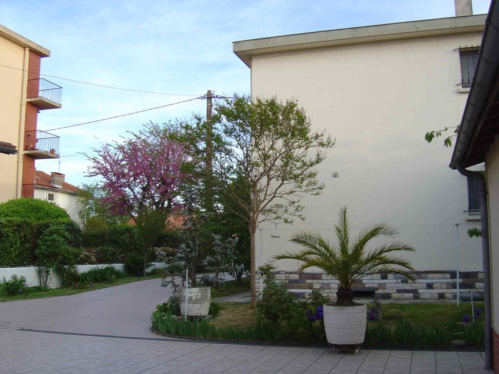 T2 Rez-de-chaussée 45 m2 Toulouse rue Charlas Proche centre Métro Barriére de Paris (287) - 4bd7ffb5117b5.jpg