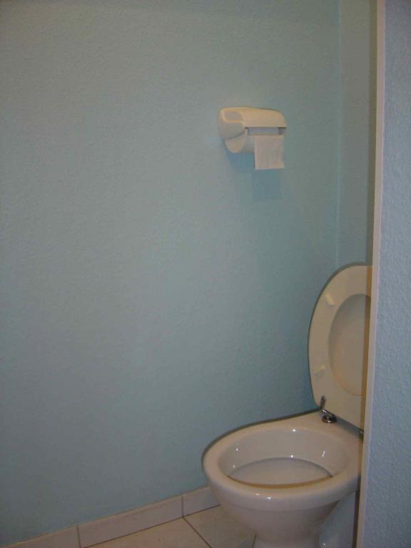 T2 Rez-de-chaussée 45 m2 Toulouse rue Charlas Proche centre Métro Barriére de Paris (287) - 4bd8006086b88.jpg