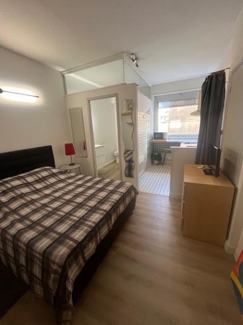 Studio 2ème étage 30 m2 Toulouse Allée Jean Jaurés Hyper centre Métro A et B Jean Jaurés (306) - 01.jpg